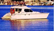 venturer 38